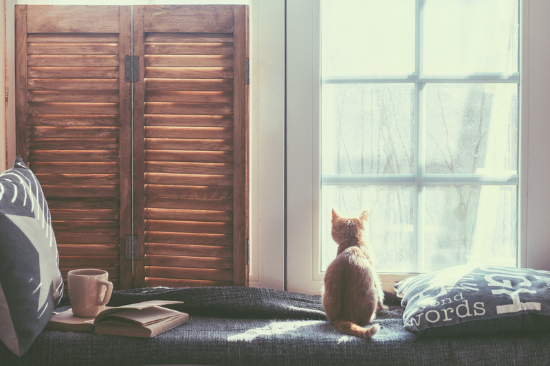 Discover a Fresh Start through Clutter Removal and Hoarder Clean Up Support